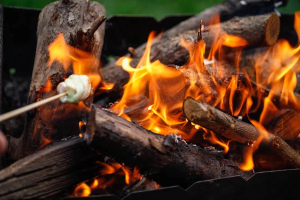 Grilling marshmallows on fire — Stock Photo, Image