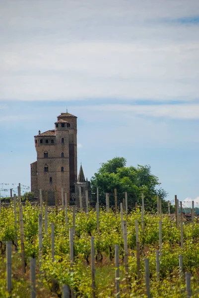 Vinhedo com Castelo — Fotografia de Stock