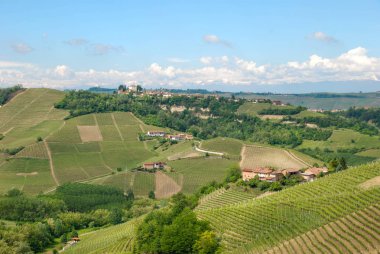 Görünüm Langhe Hills yakınlarında Alba - Piedmont, İtalya