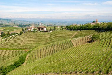 Langhe Hills, Piedmont