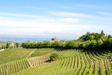 Langhe Hills, Piedmont