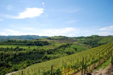 Langhe Hills, Piedmont