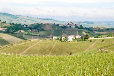 Langhe Hills, Piedmont