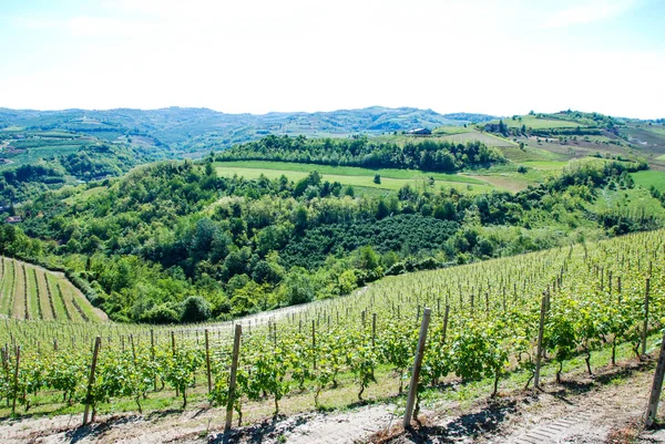 Langhe Hills, Piemonte – stockfoto