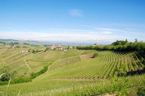 Langhe Hills, Piemonte — Fotografia de Stock