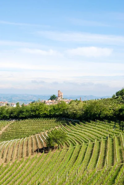 Langhe Hills, Piemonte — Fotografia de Stock