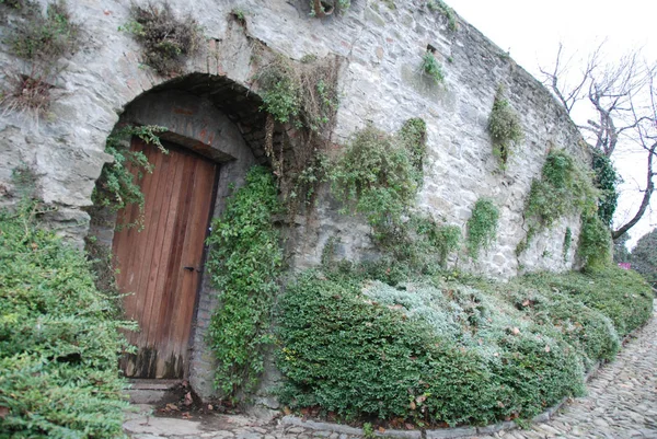 Alte Tür des Schlosses serralunga d 'alba — Stockfoto