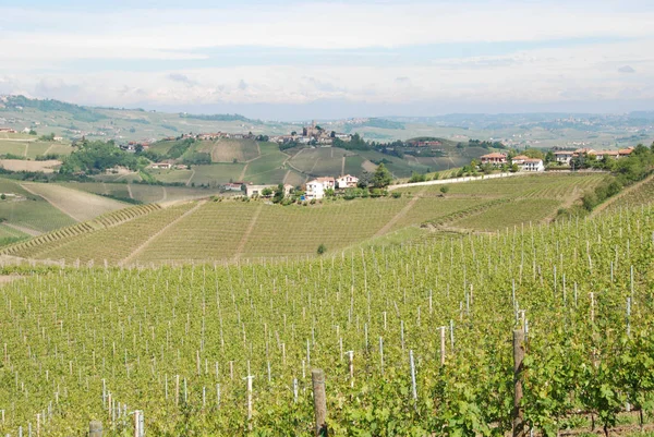 Vista de los viñedos Langhe —  Fotos de Stock