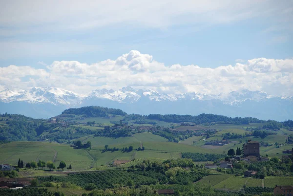 Vinhedos de Langhe, Piemonte - Itália — Fotografia de Stock