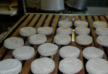 İtalyan Toma Langhe peynir Piyemonte - İtalya