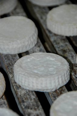 İtalyan Toma Langhe peynir Piyemonte - İtalya