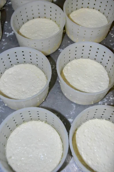 Итальянский сыр Тома Ланге в Пьемонте - Италия — стоковое фото