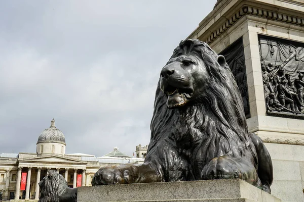 London - egy oroszlán szobor a tér Trafalgare — Stock Fotó