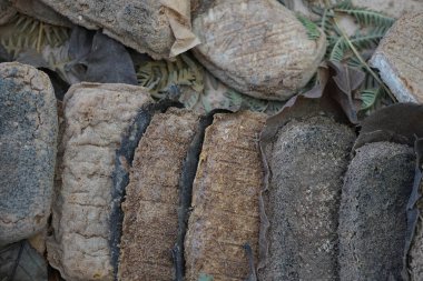 Keçi sütü ve inek ile peynir