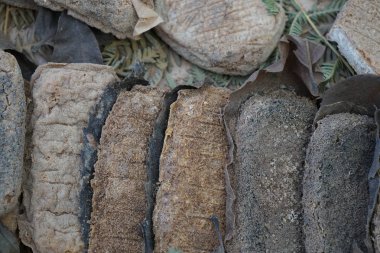 Keçi sütü ve inek ile peynir