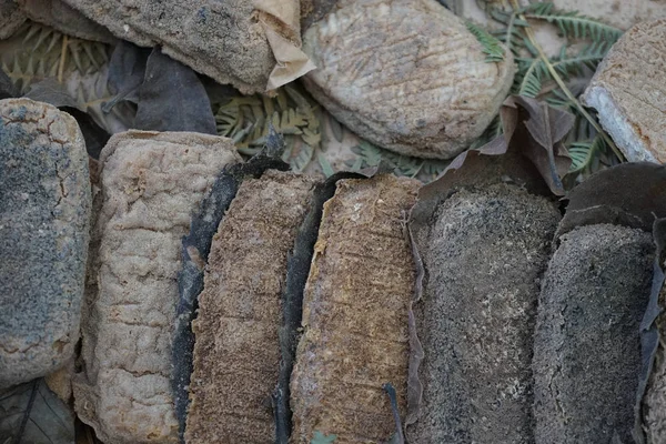 Keçi sütü ve inek ile peynir