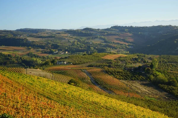 Langhe hills near Diano d'Alba — Stock Fotó