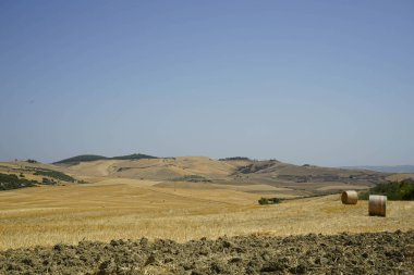 Kırsalda saman balyaları