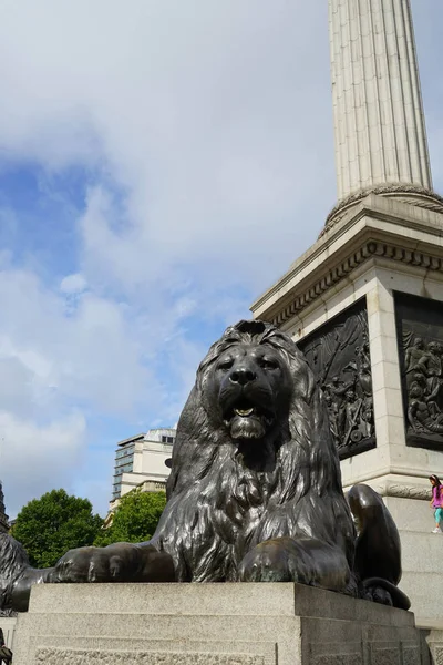 Londres - Estatua de un león en Trafalgare Square —  Fotos de Stock