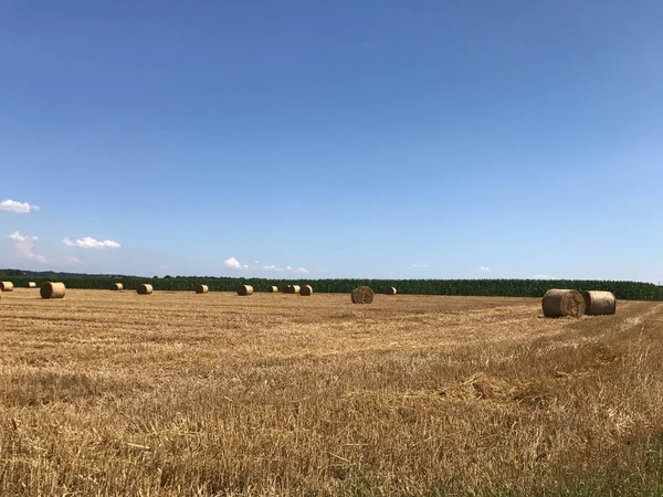 Hay bales in the countryside — Stock Photo, Image
