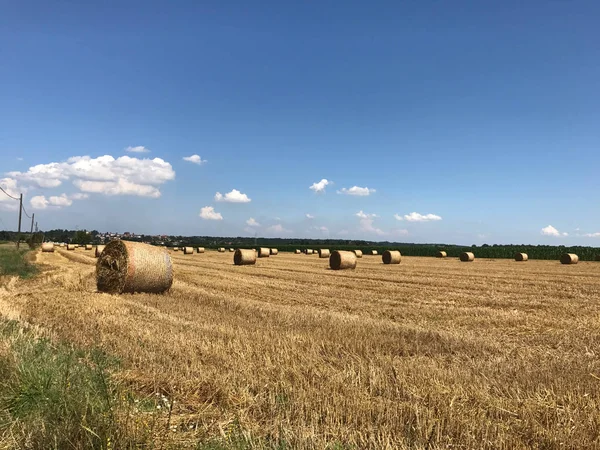 Szénabálák vidéken — Stock Fotó