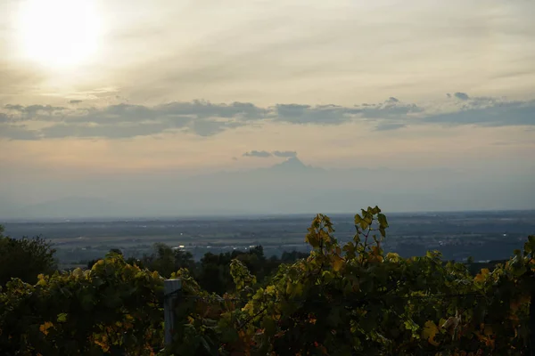 Viñedos y panorama de Langhe con Monviso en el horizonte — Foto de Stock