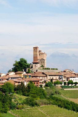 Langhe tepelerindeki üzüm bağları, Piedmont - İtalya