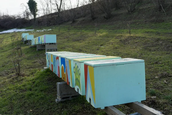 Algumas colmeias para a produção de mel — Fotografia de Stock