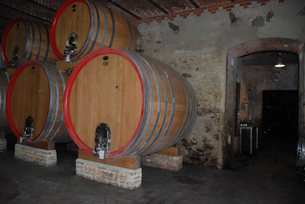 Vaten in een wijnkelder — Stockfoto