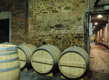 Şarap mahzeninde fıçılar