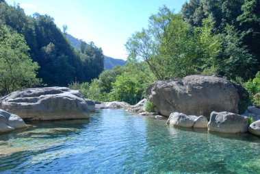 Creek Rio Barbaria - Liguria -Italy clipart