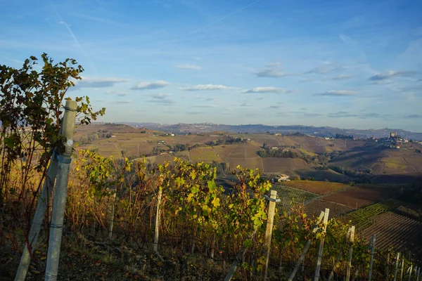 Vistas perto de Monforte d 'Alba, Piemonte - Itália — Fotografia de Stock