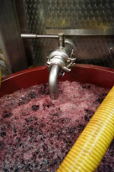 Grape fermentation — Stock Photo, Image