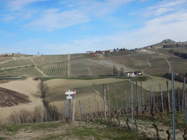 Langhe Dombok Piedmont Jelek Jelzik Utak Között Szőlőültetvények Olaszország — Stock Fotó