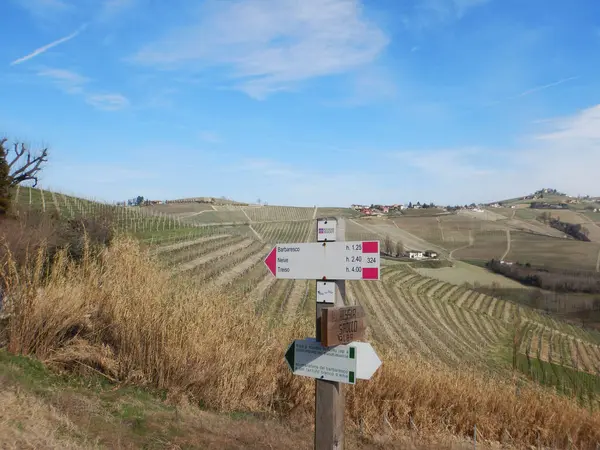 Oznakowanie Ścieżkach Langhe Piemont Włochy — Zdjęcie stockowe