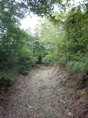 Alta Langa, Igliano, Piedmont - İtalya ormanları boyunca yol gösterici