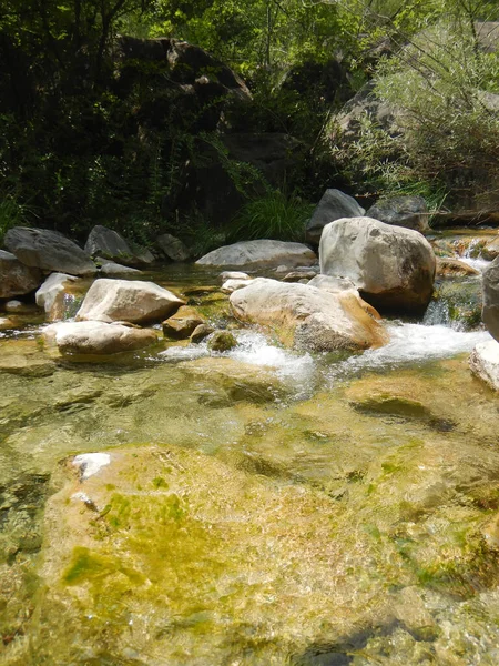 Creek Rio Barbaira Rocchetta Nervina Ligúria Itália — Fotografia de Stock