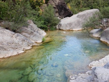 Rio Barbaira deresi, Rocchetta Nervina, Liguria - İtalya