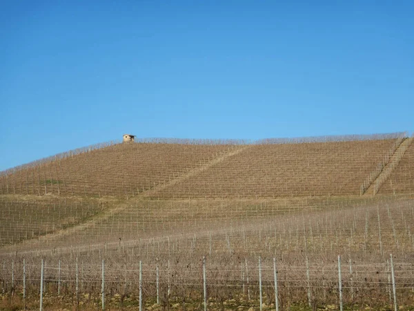 Blick Auf Die Weinberge Der Langhe Piemont Italien — Stockfoto
