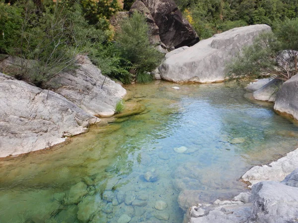 Rio Barbaira Patak Rocchetta Nervina Liguria Olaszország — Stock Fotó