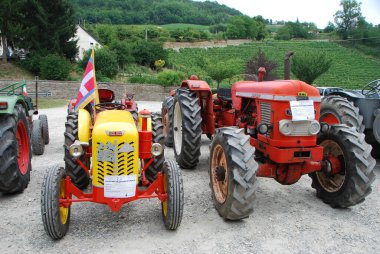 Langhe, Piedmont, İtalya 'daki bir sergide eski traktörler.
