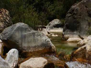 Rio Barbaira deresi, Rocchetta Nervina, Liguria - İtalya