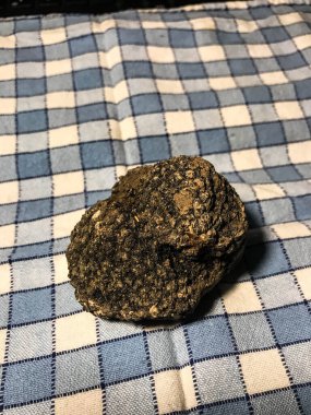 Masada Langhe, La Morra, Piedmont, İtalya 'dan siyah bir trüf var.