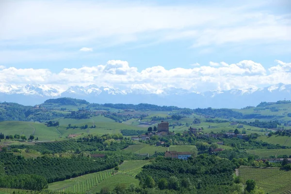 Άποψη Των Λόφων Langhe Αμπελώνες Και Τις Άλπεις Βουνά Στο — Φωτογραφία Αρχείου