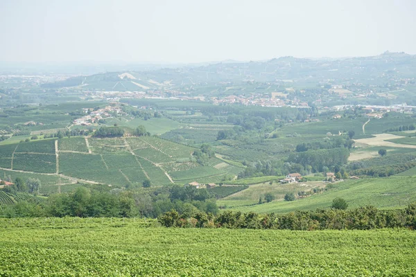 Vigneti Vicino Paese Morra Piemonte Italia — Foto Stock