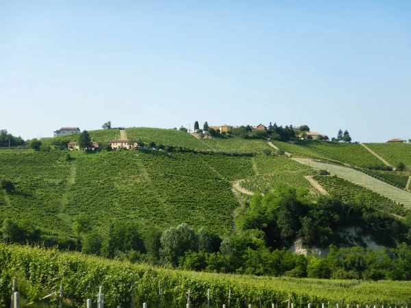 Vista Sobre Oeste Langhe Perto Neive Piemonte Itália — Fotografia de Stock