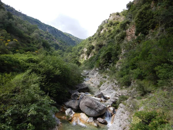 Rivier Barbaira Rocchetta Nervina Ligurië Italië — Stockfoto