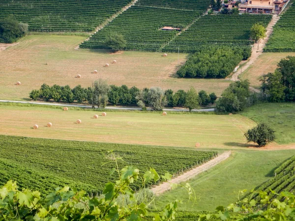 Blick Auf Die Landschaft Der Nähe Von Barolo Piemont Italien — Stockfoto