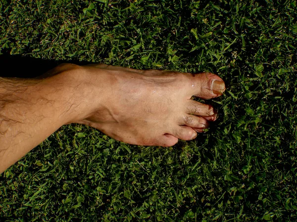 Man Foot Green Lawn — Stock Photo, Image