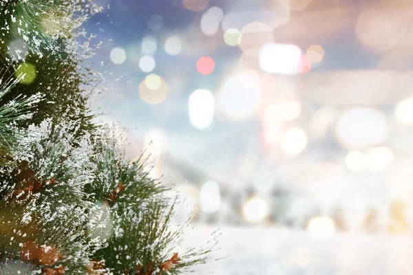 Weihnachtsbaum verschwommener Hintergrund — Stockfoto